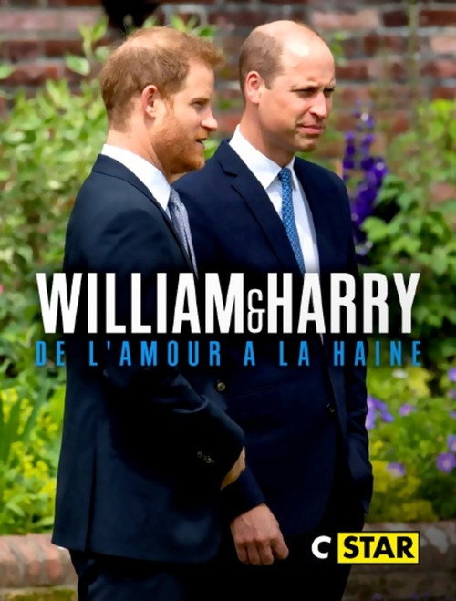William et Harry : de l'amour à la haine poster