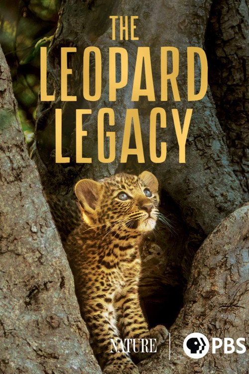 The Leopard Legacy poster