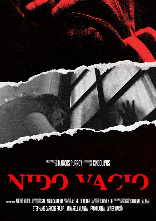 Empty Nest poster