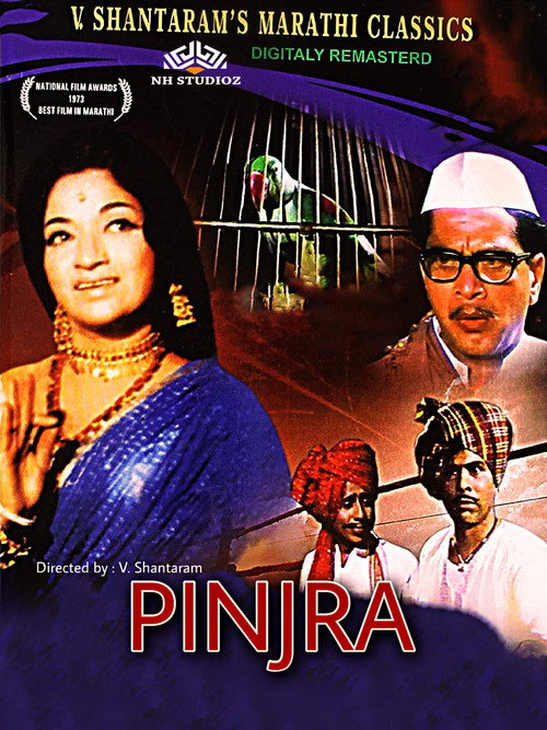 Pinjra poster