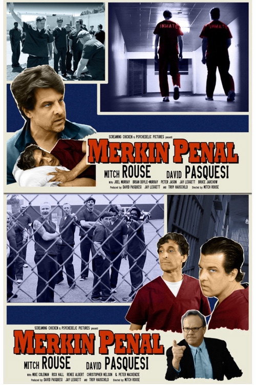 Merkin Penal poster