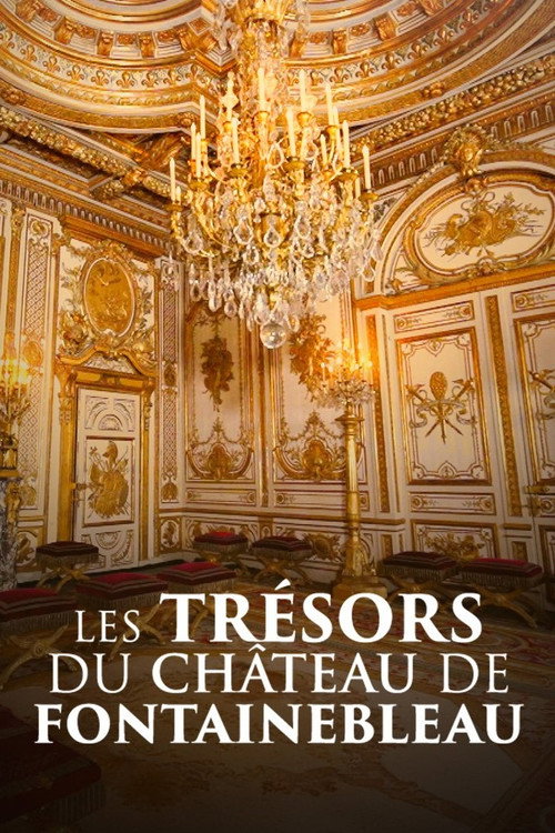 Les trésors du château de Fontainebleau poster