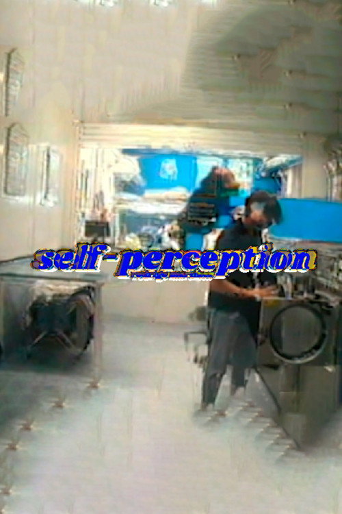 self perception poster