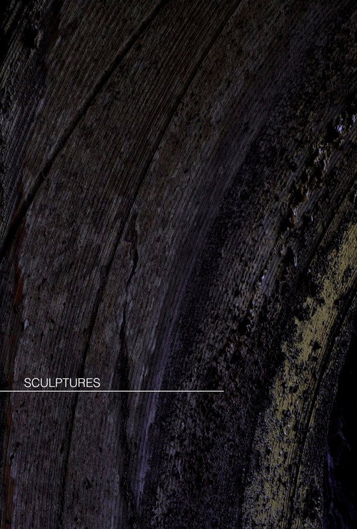Sculptures [short] poster