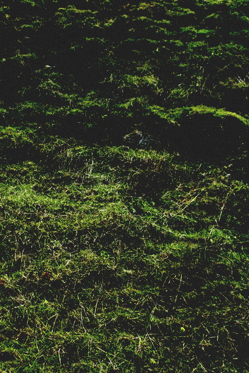 Untitled / Aubrac poster