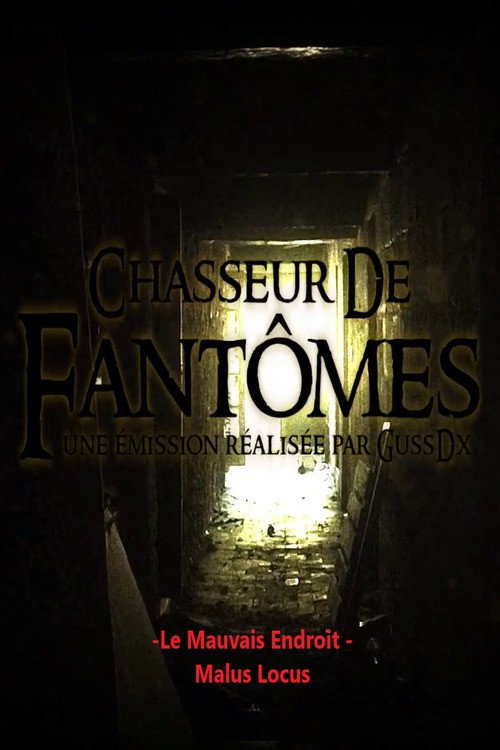 Chasseur de Fantômes : LE MAUVAIS ENDROIT / malus locus poster