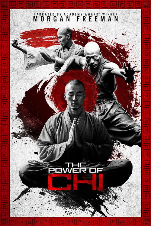 The Power of Chi poster