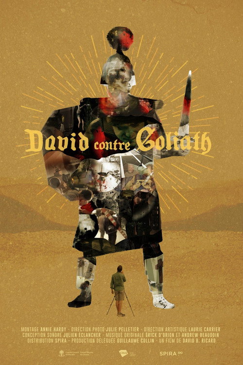 David Against Goliath poster