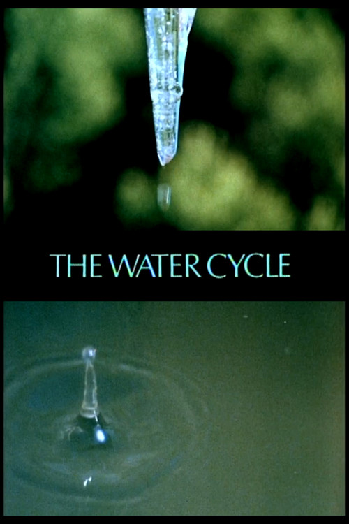 The Water Cycle poster