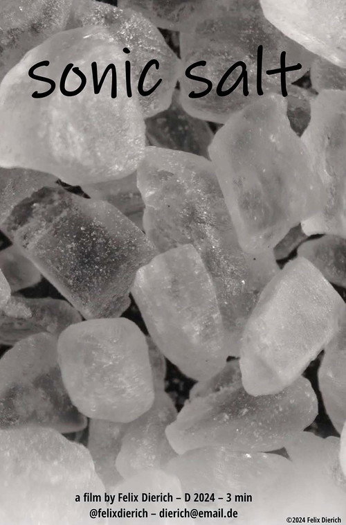 sonic salt poster