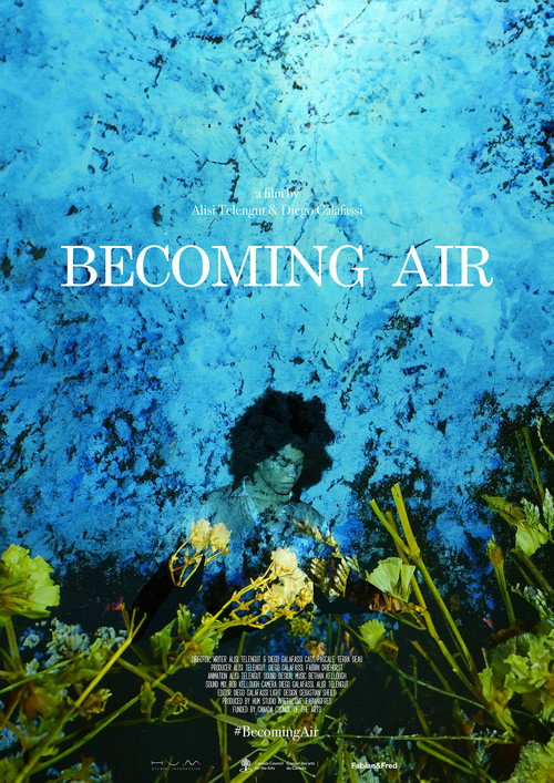 Becoming Air poster