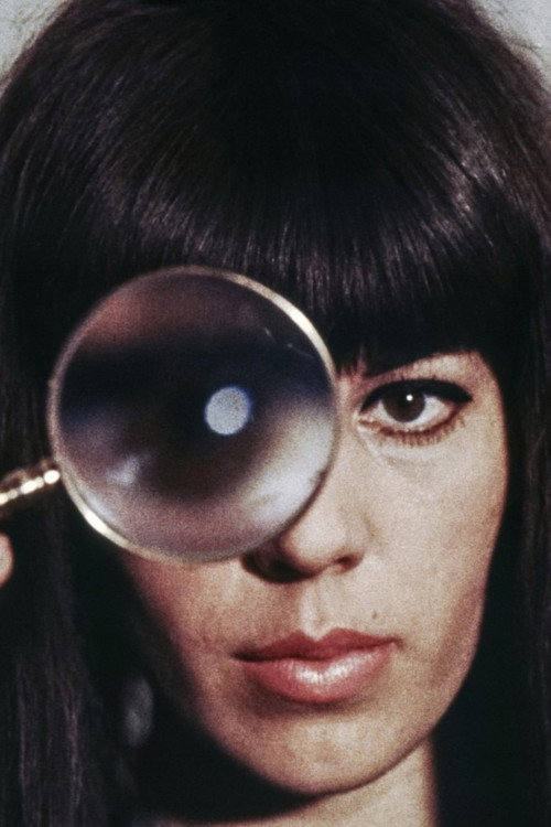 The Portrait poster
