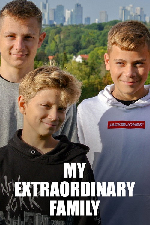 Meine alles außer gewöhnliche Familie poster
