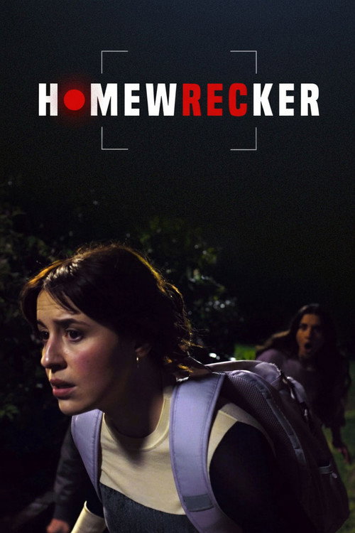 Homewrecker poster
