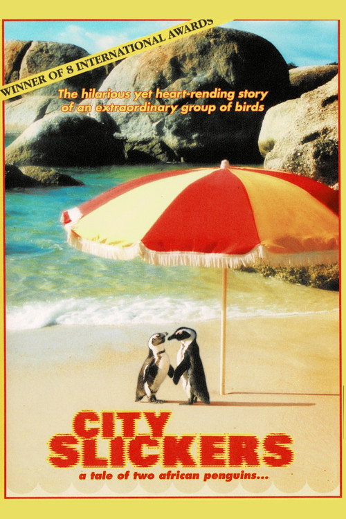 City Slickers: A tale of two African penguins poster