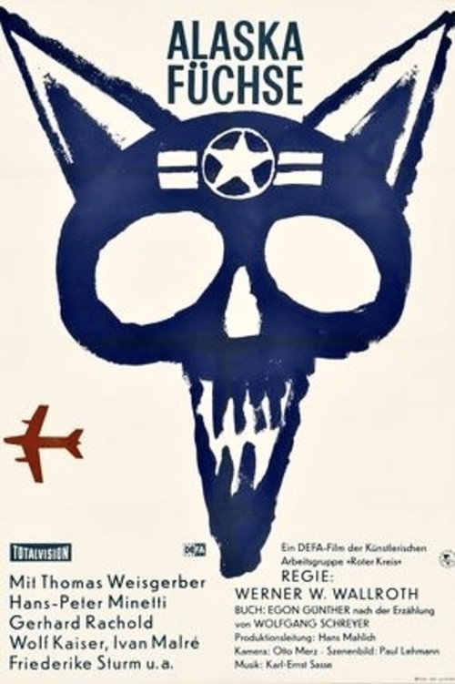 Alaska - Foxes poster