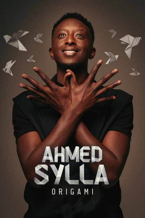 Ahmed Sylla - Origami poster