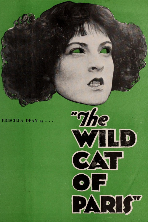 The Wildcat of Paris poster