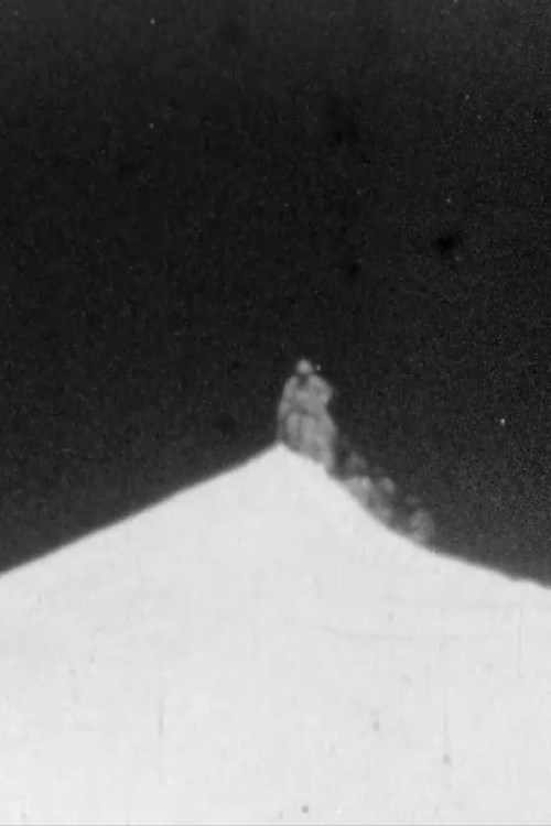 Fourth Everest Expedition poster