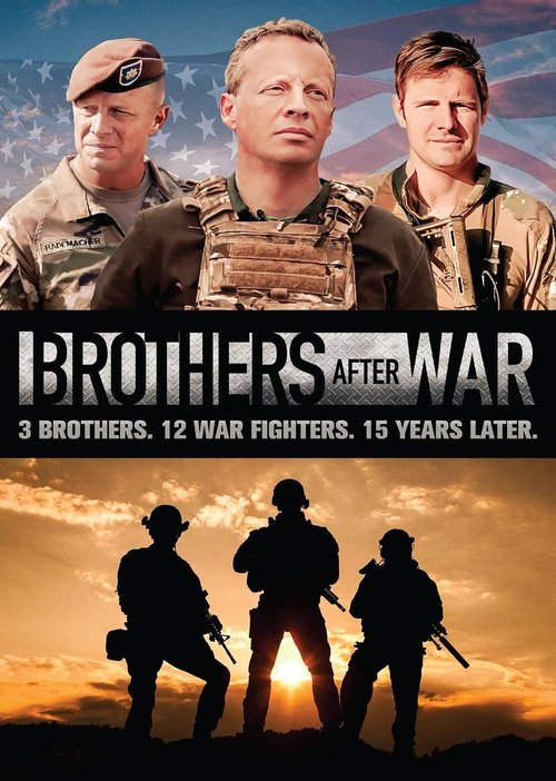 Brothers After War poster