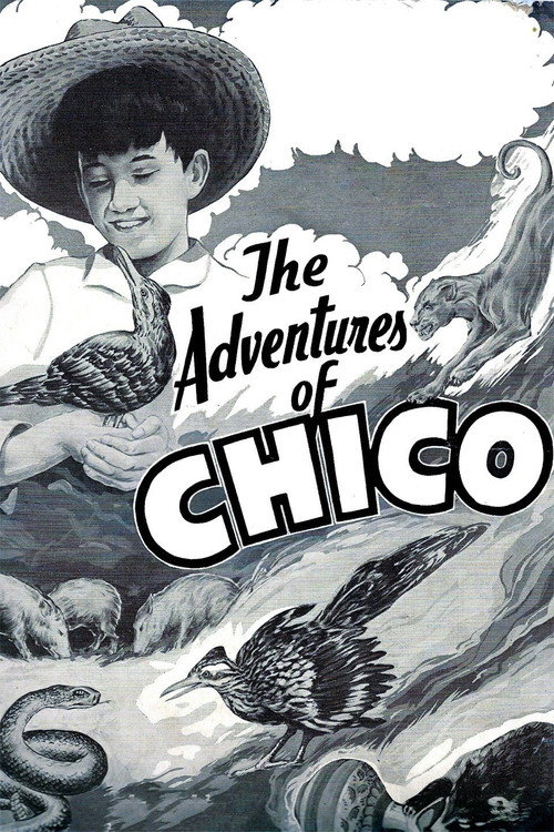 The Adventures of Chico poster