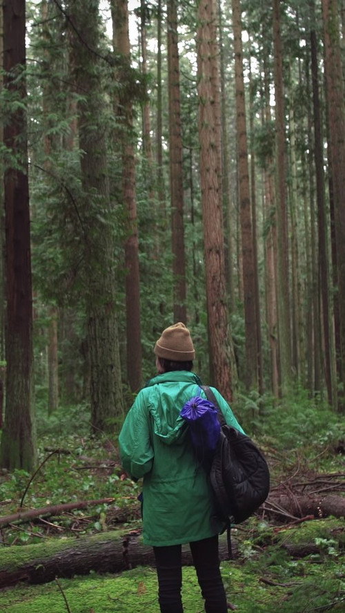 Forest Movie poster