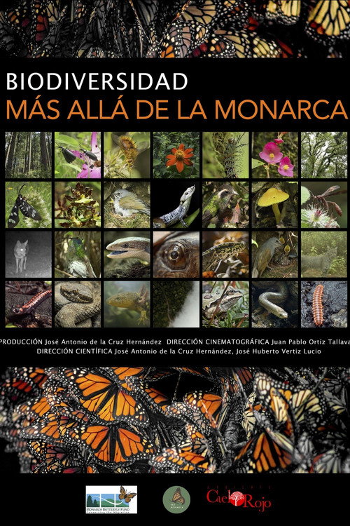 Biodiversity; Beyond the Monarch poster