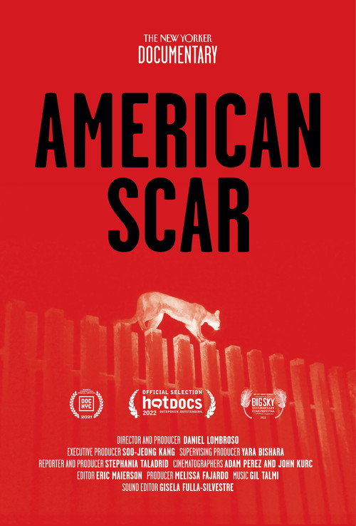 American Scar poster