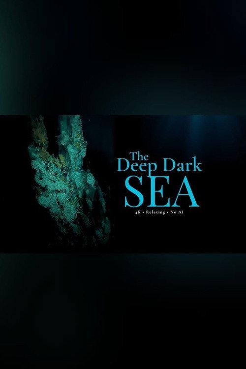 The Deep Dark Sea poster
