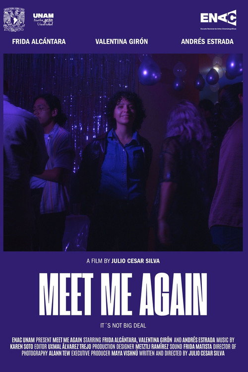 Meet Me Again poster