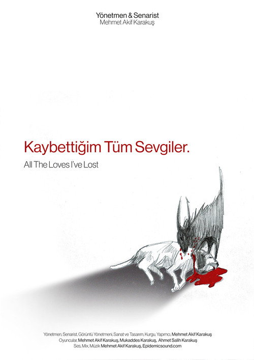 Kaybettiğim Tüm Sevgiler poster