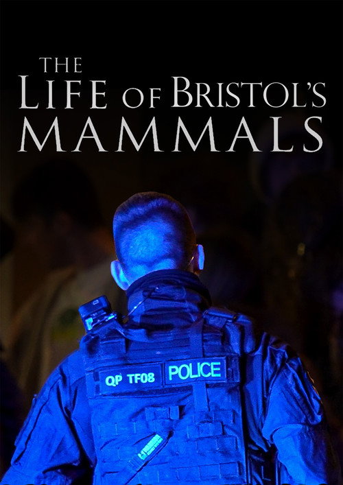 The Life of Bristol's Mammals poster