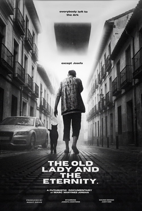 The Old Lady and the Eternity poster