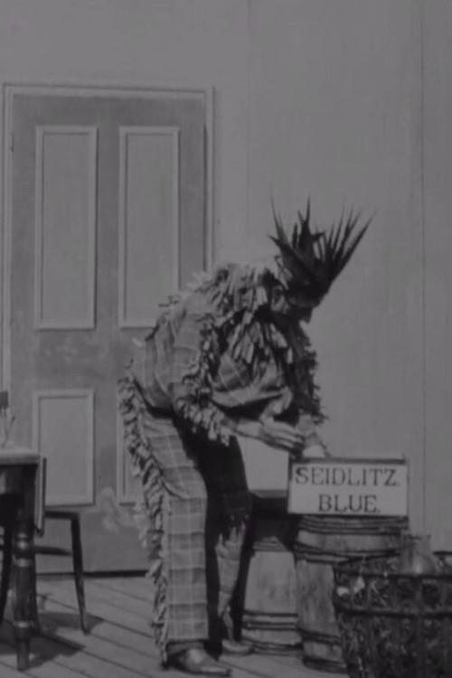 The Indian Chief and the Seidlitz Powder poster
