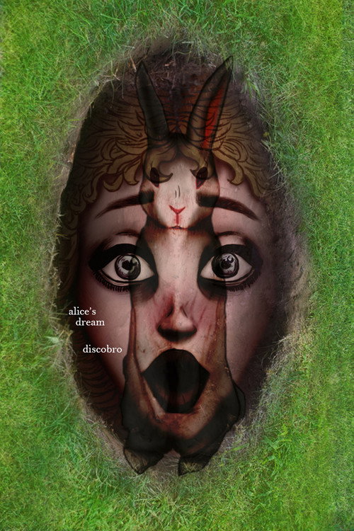 alice's dream poster