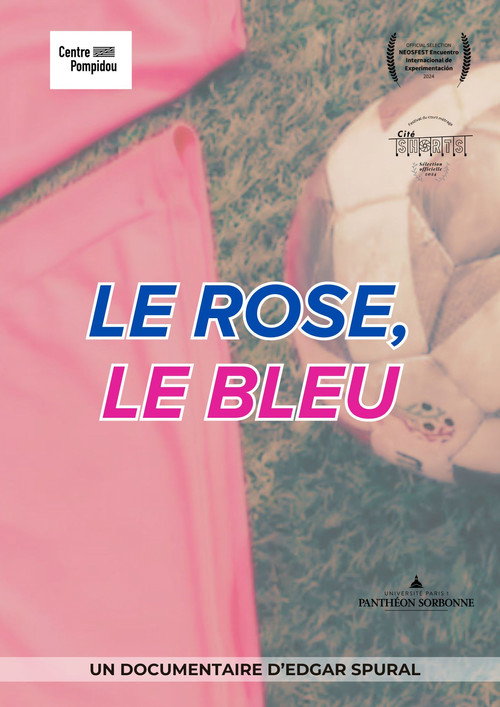 Le rose, le bleu poster