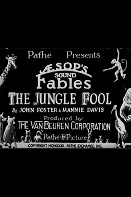 The Jungle Fool poster
