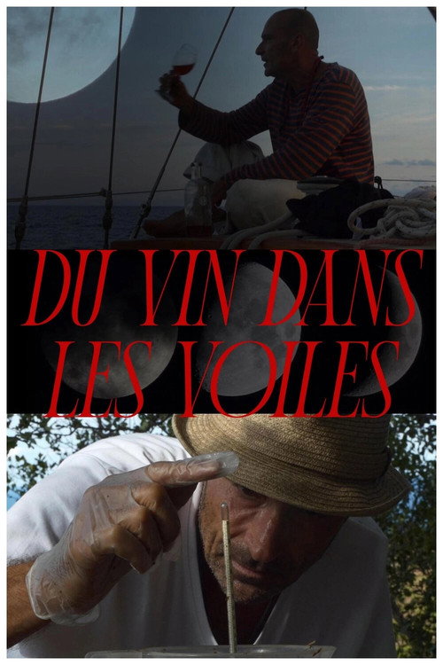 Du vin dans les voiles poster
