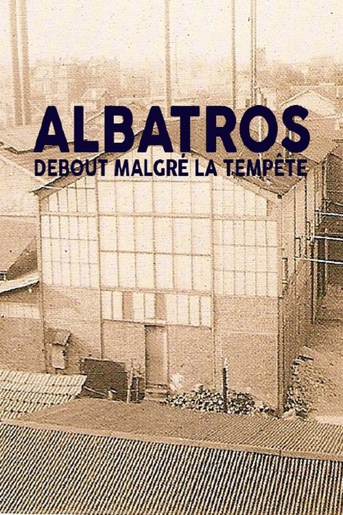 Albatros, debout malgré la tempête poster