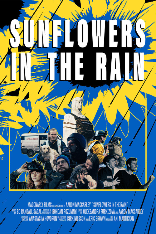 Sunflowers in the Rain poster