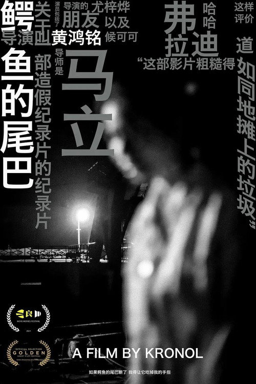 THE CROCODILE WITHOUT A TAIL poster