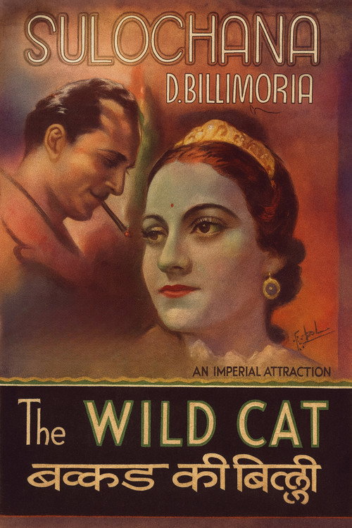 Wildcat of Bombay poster