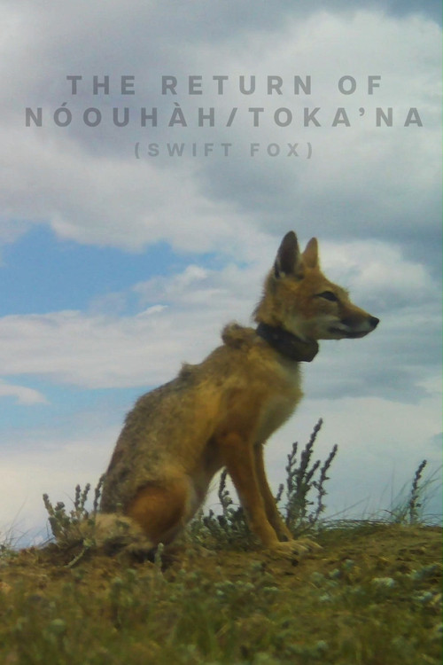 The Return of Nóouhàh-Toka’na poster