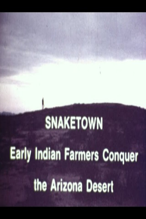 Snaketown- Early Indian Farmers Conquer the Arizona Desert poster