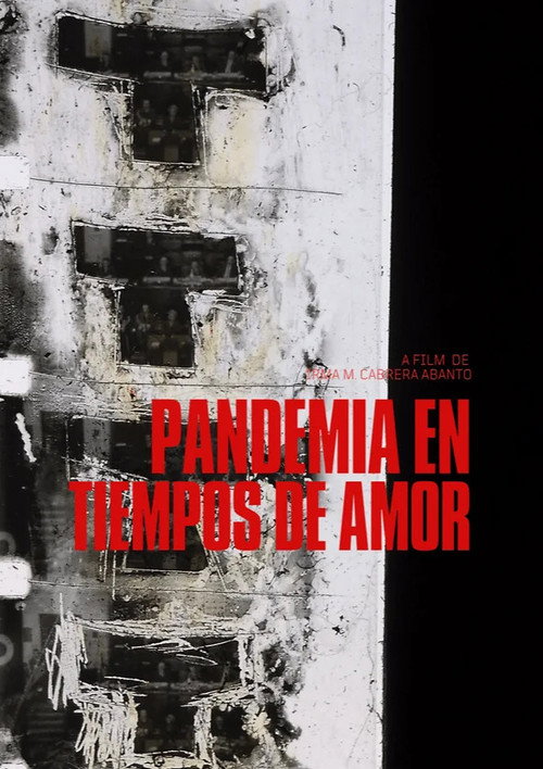Pandemic in Times of Love poster