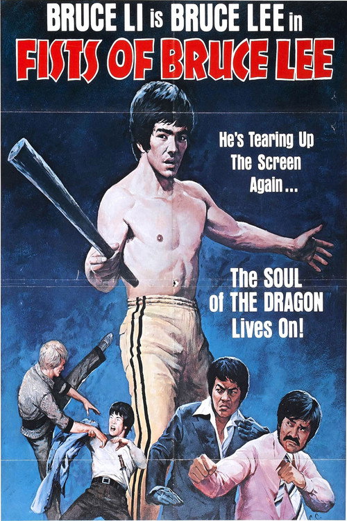 Fists of Bruce Lee poster