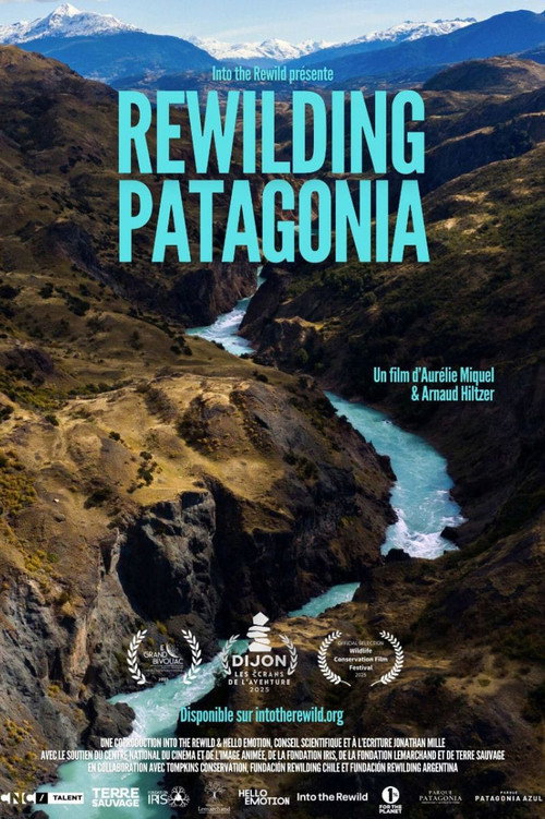 Rewilding Patagonia poster