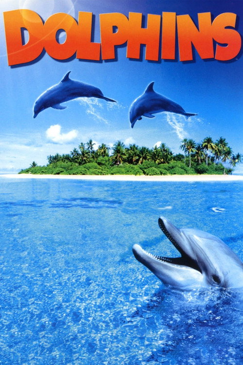 Dolphins poster