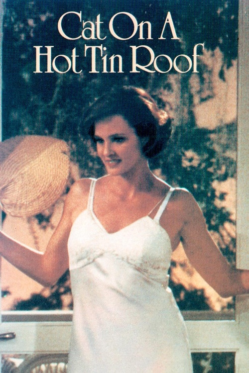 Cat on a Hot Tin Roof poster