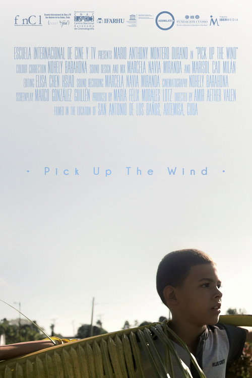 Pick up the Wind poster